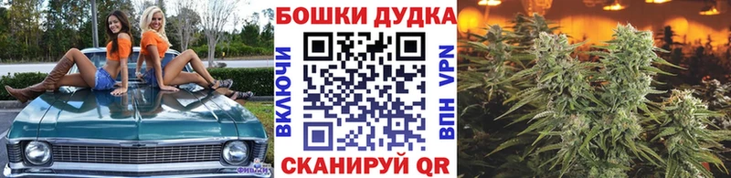 Наркотические вещества Хотьково LSD-25  Мефедрон  Бошки Шишки  A PVP  Галлюциногенные грибы 